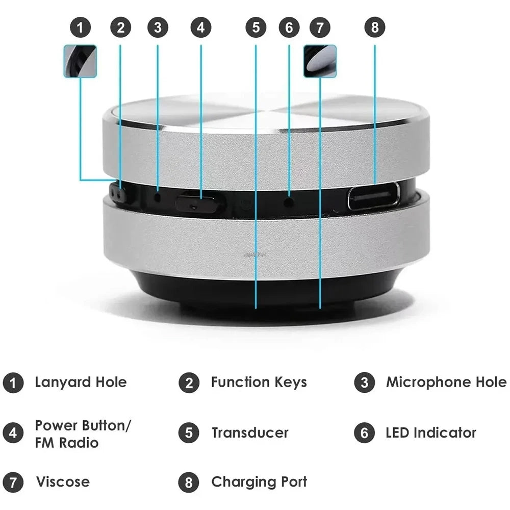 Loa Xương Smartquix 2025