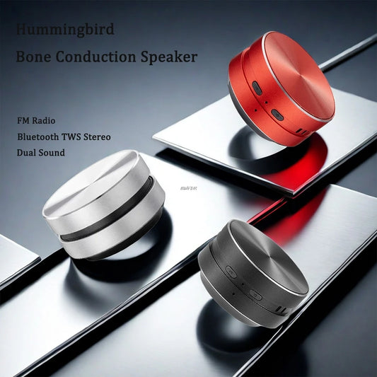 Loa Xương Smartquix 2025